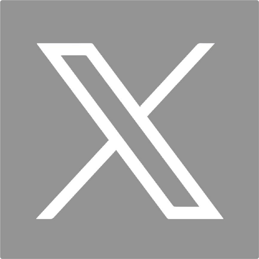 x logo