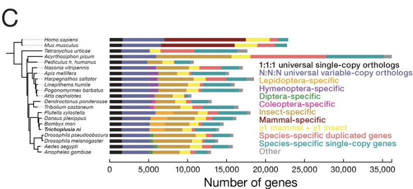  The genome of Trichoplusia ni, an agricultural pest and novel model for small RNA biology