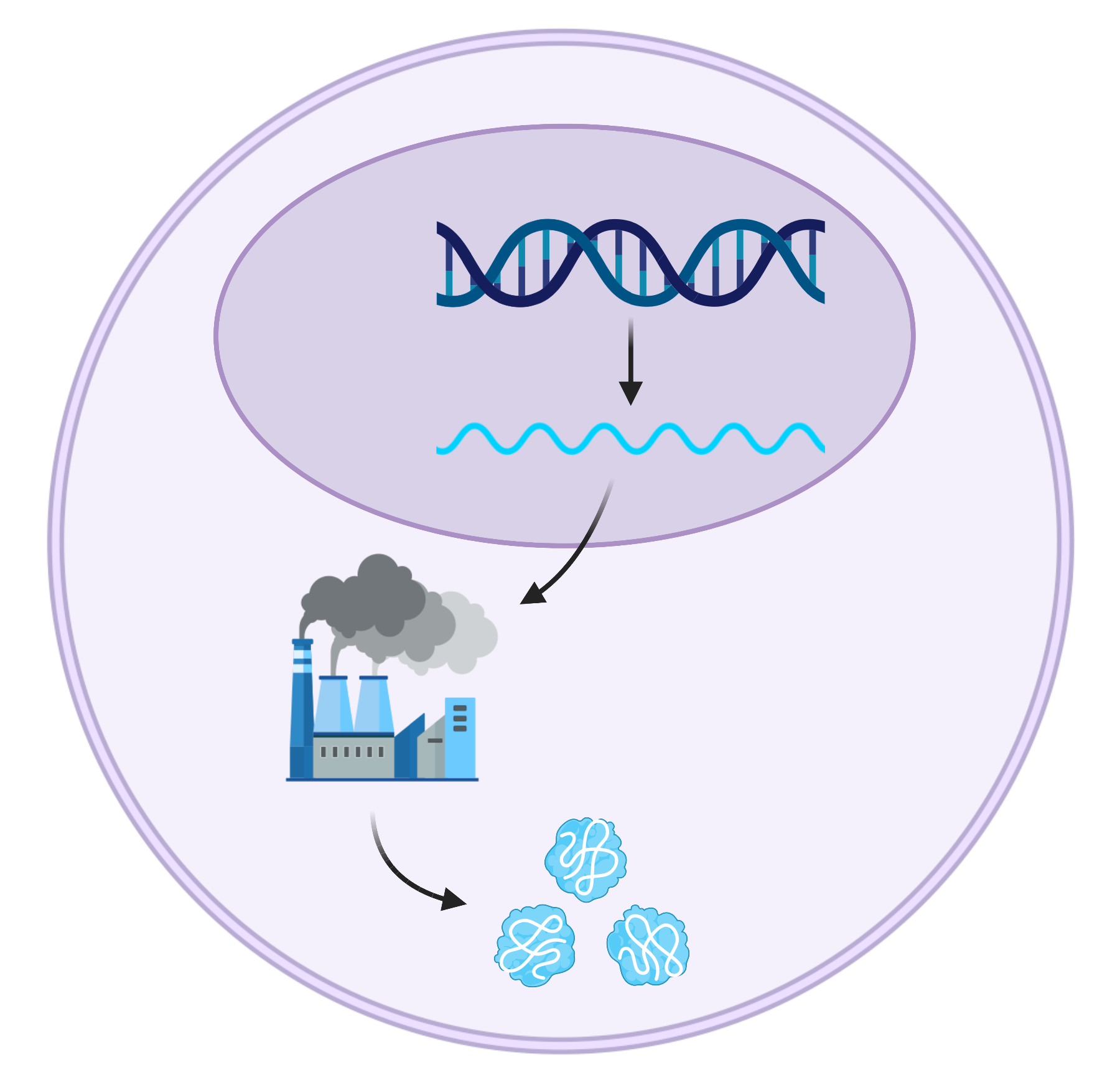 Central dogma of biology