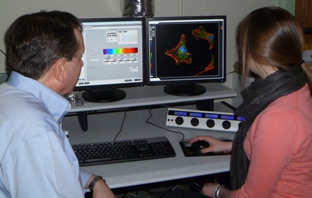 Confocal-microscope-Nickerson-Rossetti-1