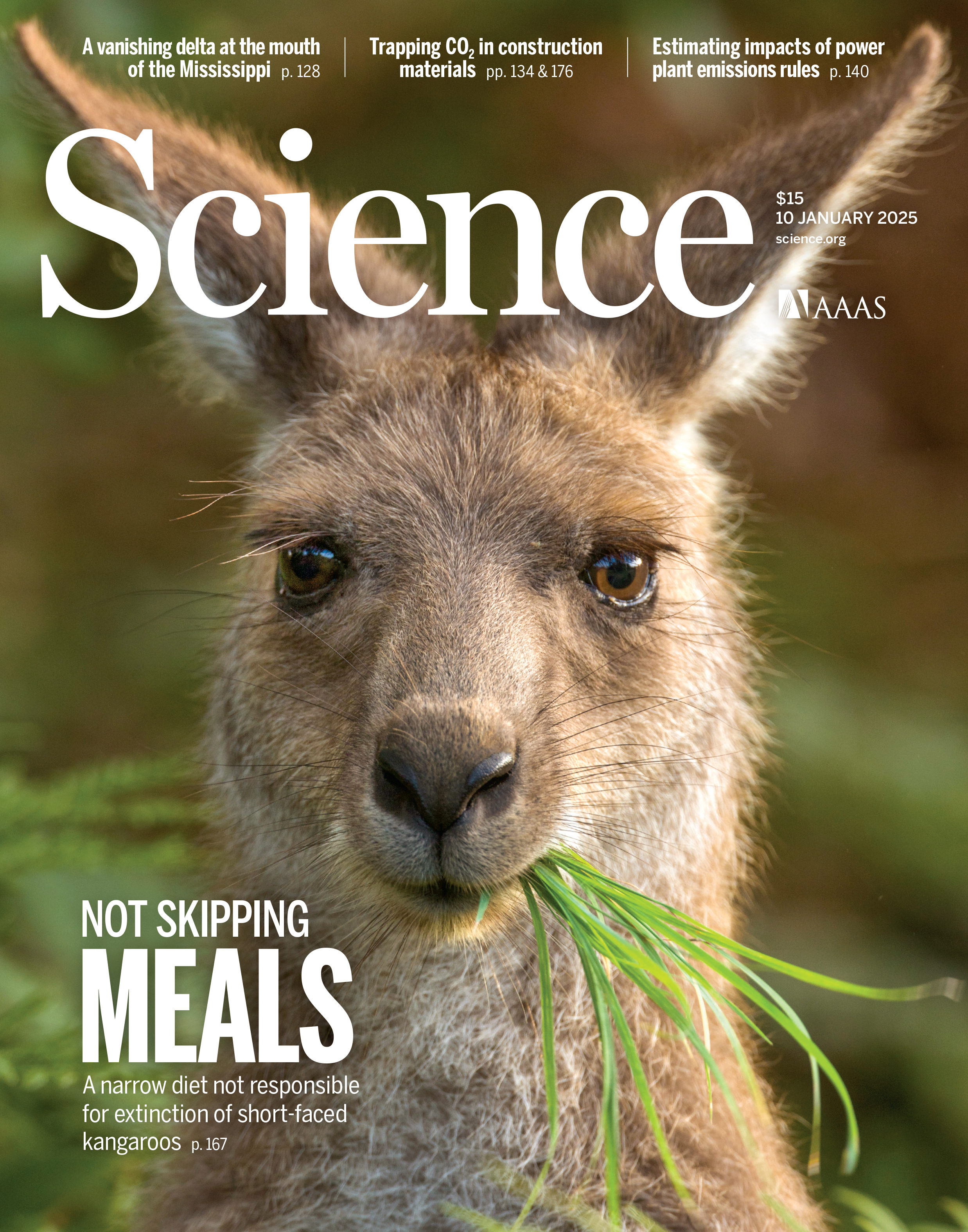 Science Journal Cover January 2025