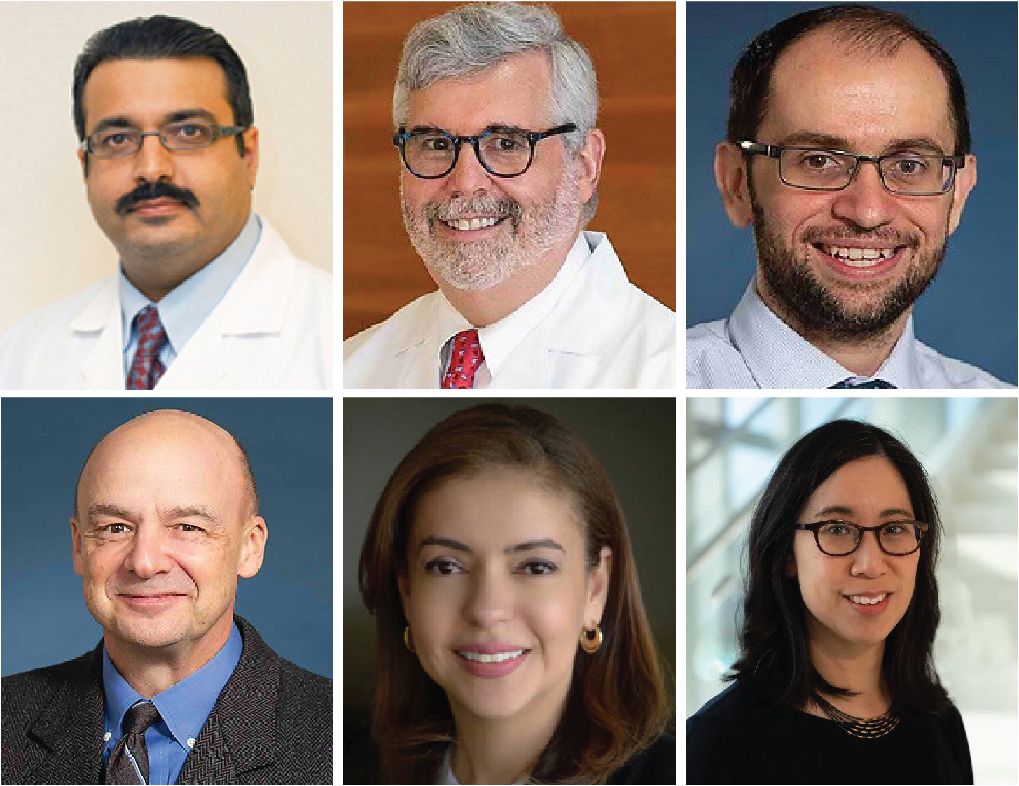 Dr. Ratnesh Chopra, Dr. Jonathan Kay, Dr. Yevgeniy (Eugene) Popov, Dr. William Traverse, Dr. Karen Salomon-Escoto, and Dr. Peggy Wu