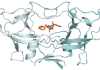 Human T cell leukemia virus type 1 