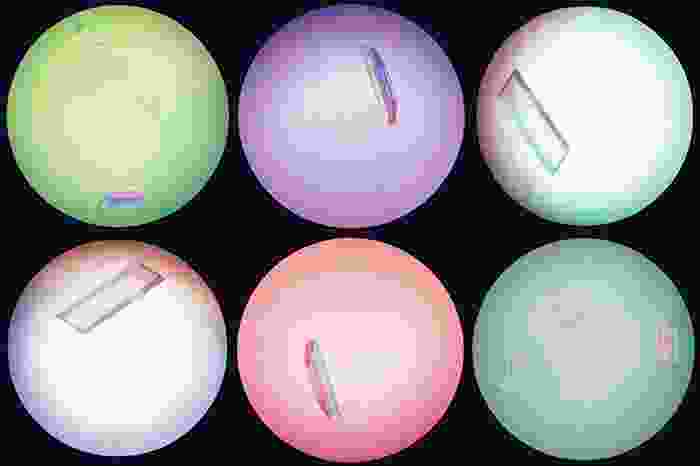 six circles of different colors arranged as a grid. Each circle contains one protein crystal