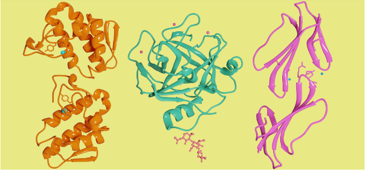 bmb blog resized cobratoxins.png