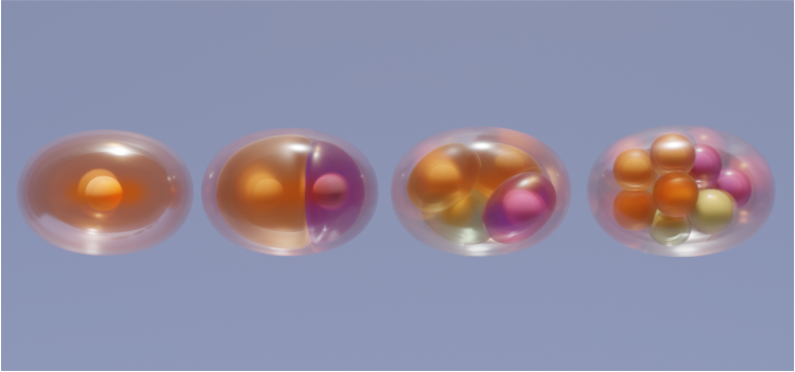 bmb blog resized eggs.png