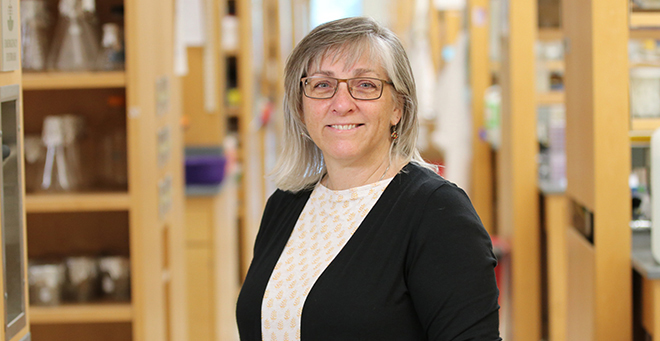 Ann M. Moormann, PhD, MPH