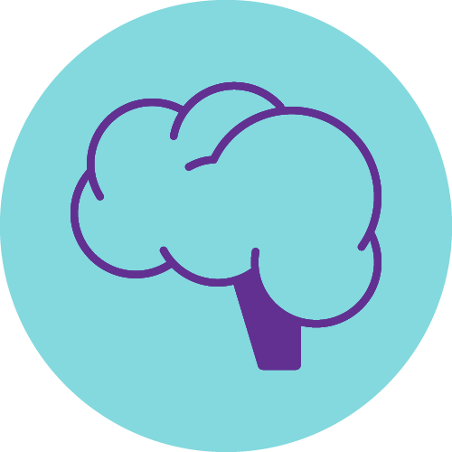  Brain icon