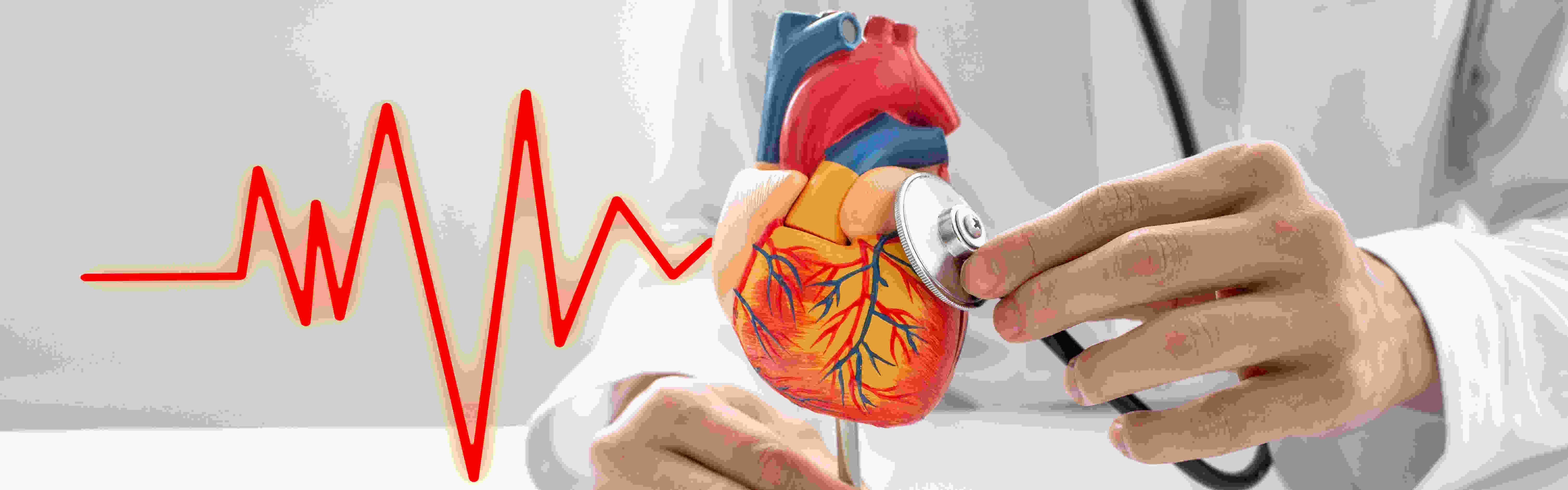 Graphic of a beating heart