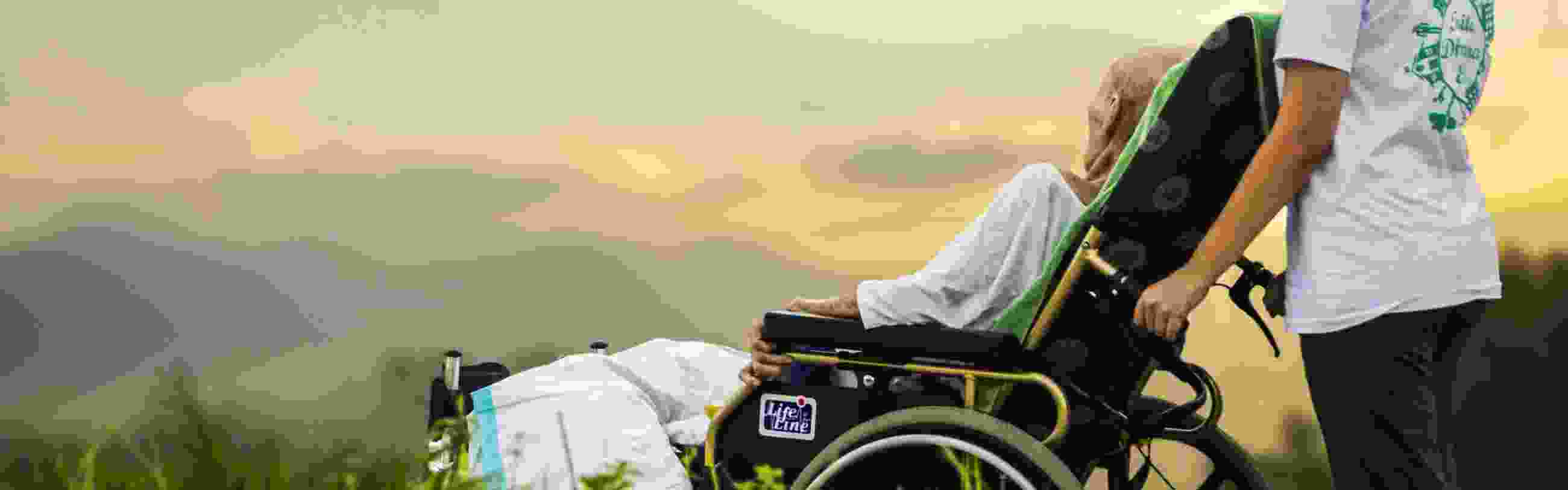 A young person stands behind an elderly person in a wheelchair, who looks out over a beautiful mountain landscape.