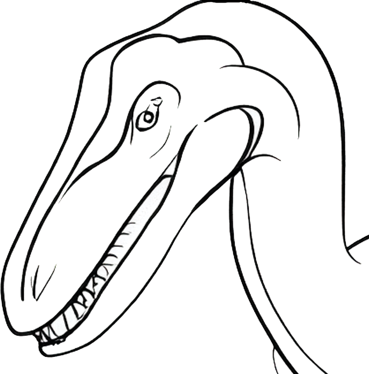 Velociraptor head