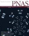 Davis Lab Sheds Light on Complications From High Blood Glucose and Excess Body Fat Which Lead to Type 2 Diabetes