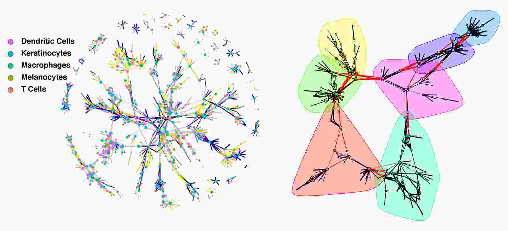 Jake_lab_network_pic.png