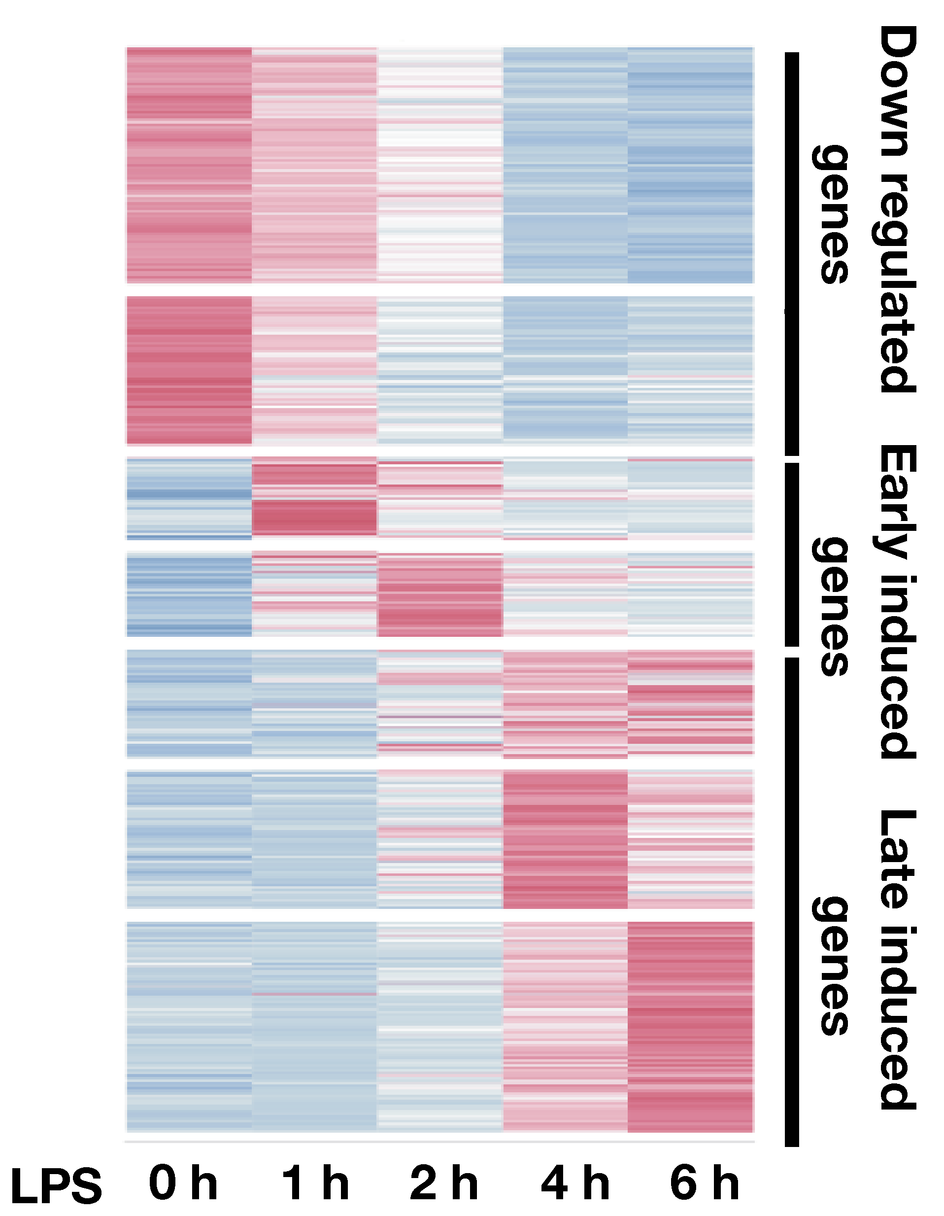 transcription-response-of-DCs-to-LPS