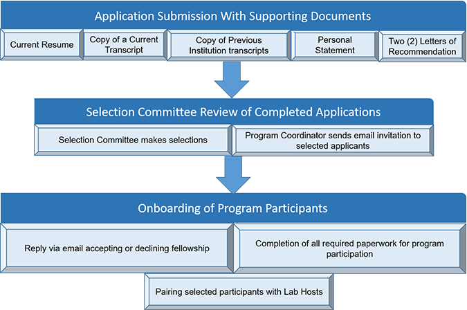 Selection process