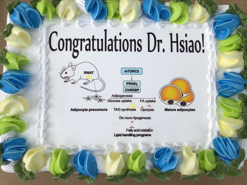 wen-yu-hsiao-thesis-cake.jpg