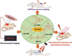 Near Infrared Boron Dipyrromethene Nanoparticles for Optotheranostics