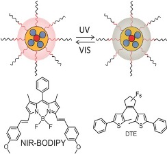 Photoswitchable Near Infrared Emitting Organic BODIPY Nanoparticles, Particle and Particle Systems Characterization. 