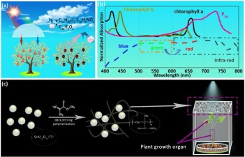 Sunlight-operable light converting smart windows for fertilizer-free plant growth enhancement