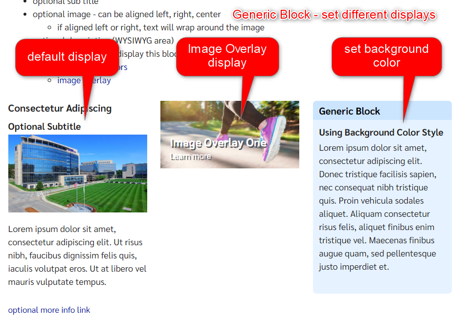 genericblockdisplay.png