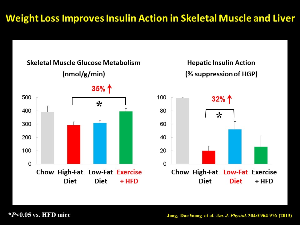 Research Weight Loss 2