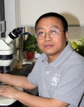 Hong Zhang, PhD