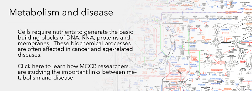 Metabolism and disease