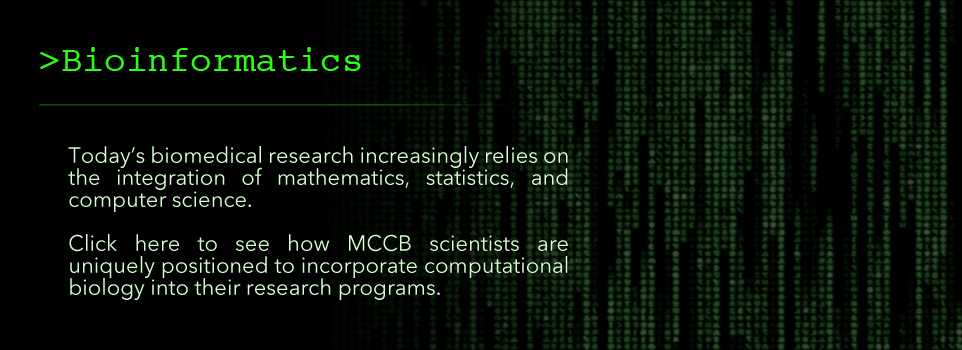 Bioinformatics