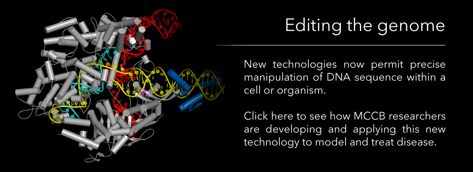 Editing the genome