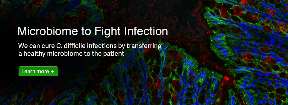 Microbiome to Fight Infection 