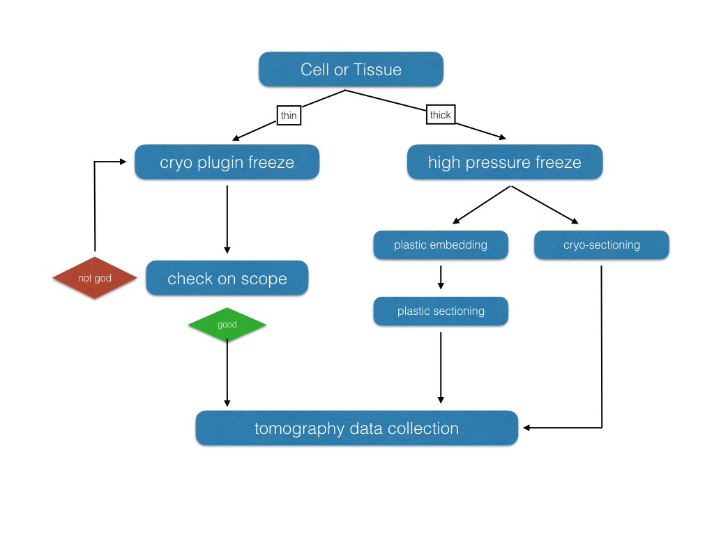 cryo grid prep pipeline tomo