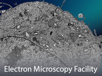  Cores-ElectronMicroscopy.png