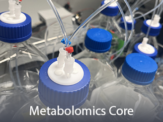  Cores-MetabolomicsCore.png