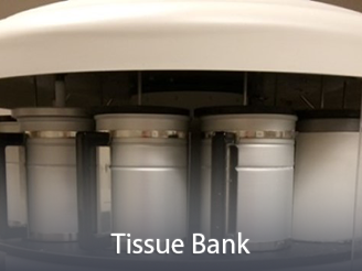  Cores-TissueBank.png