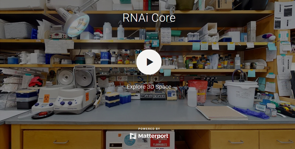 3D-Tour-RNAi-Thumbnail.jpg