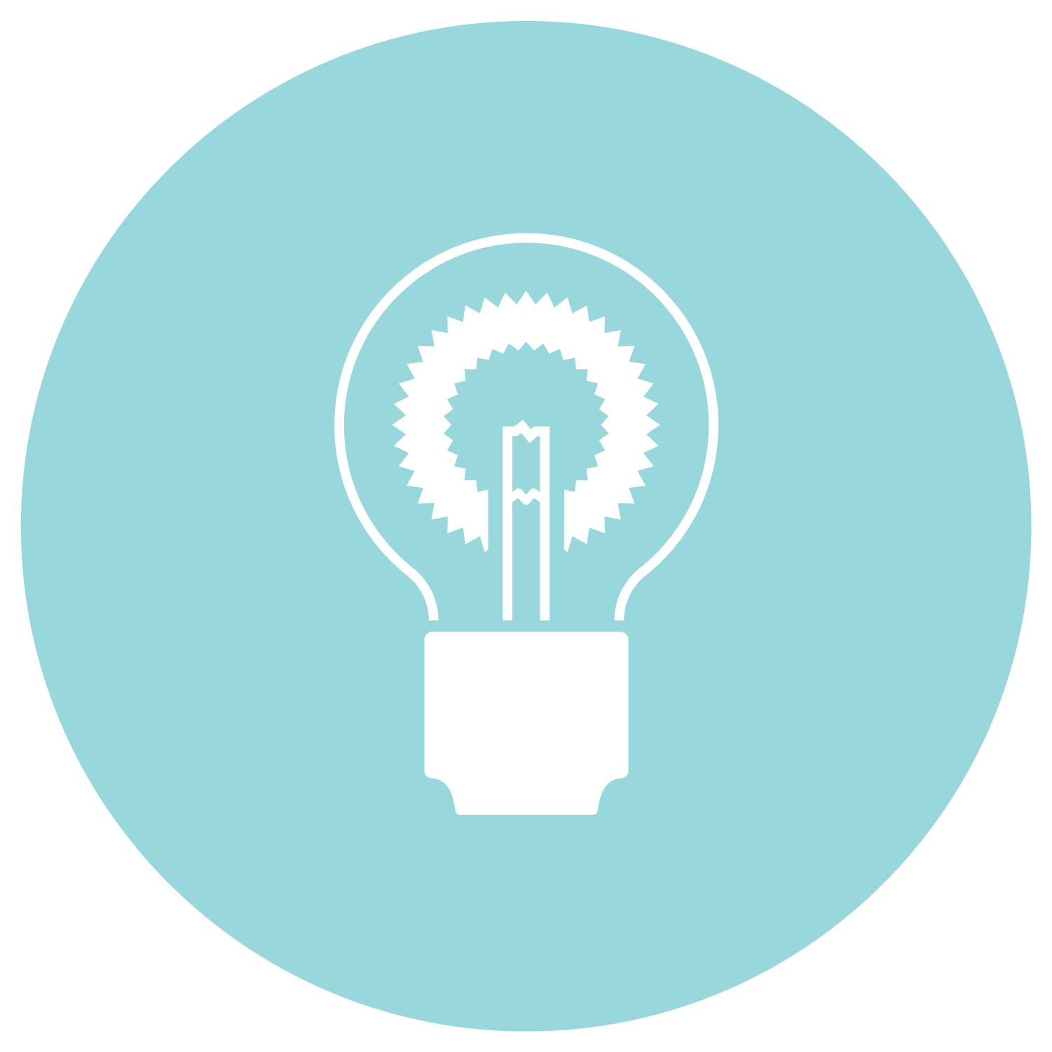 lightbulb icon