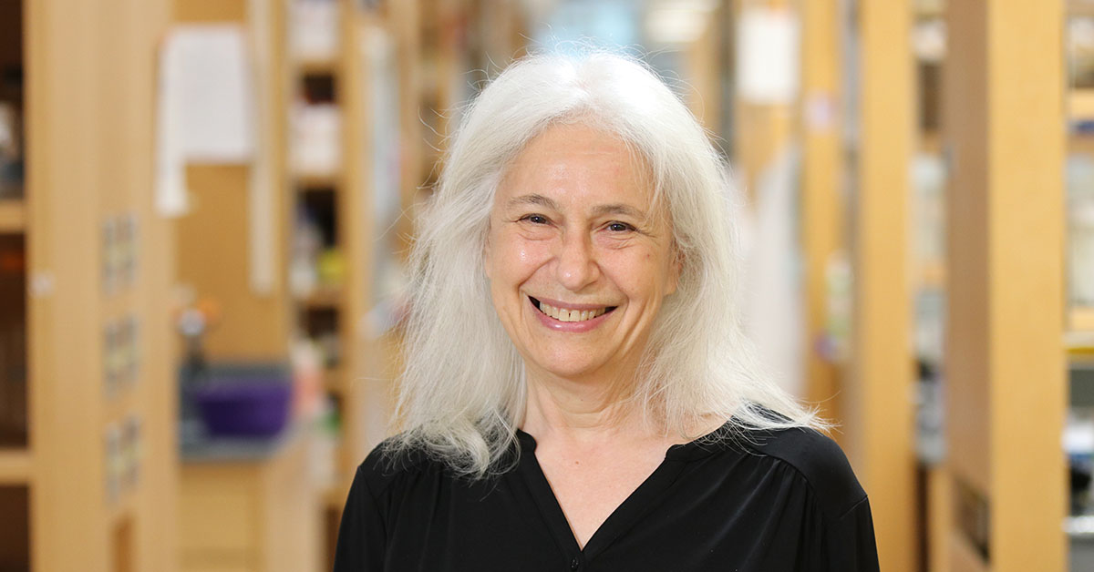  Ann Marshak-Rothstein, PhD