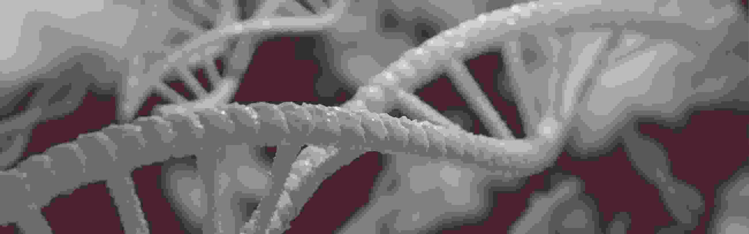 dna-Mahmoud_Ahmed_pixabay_header.jpg