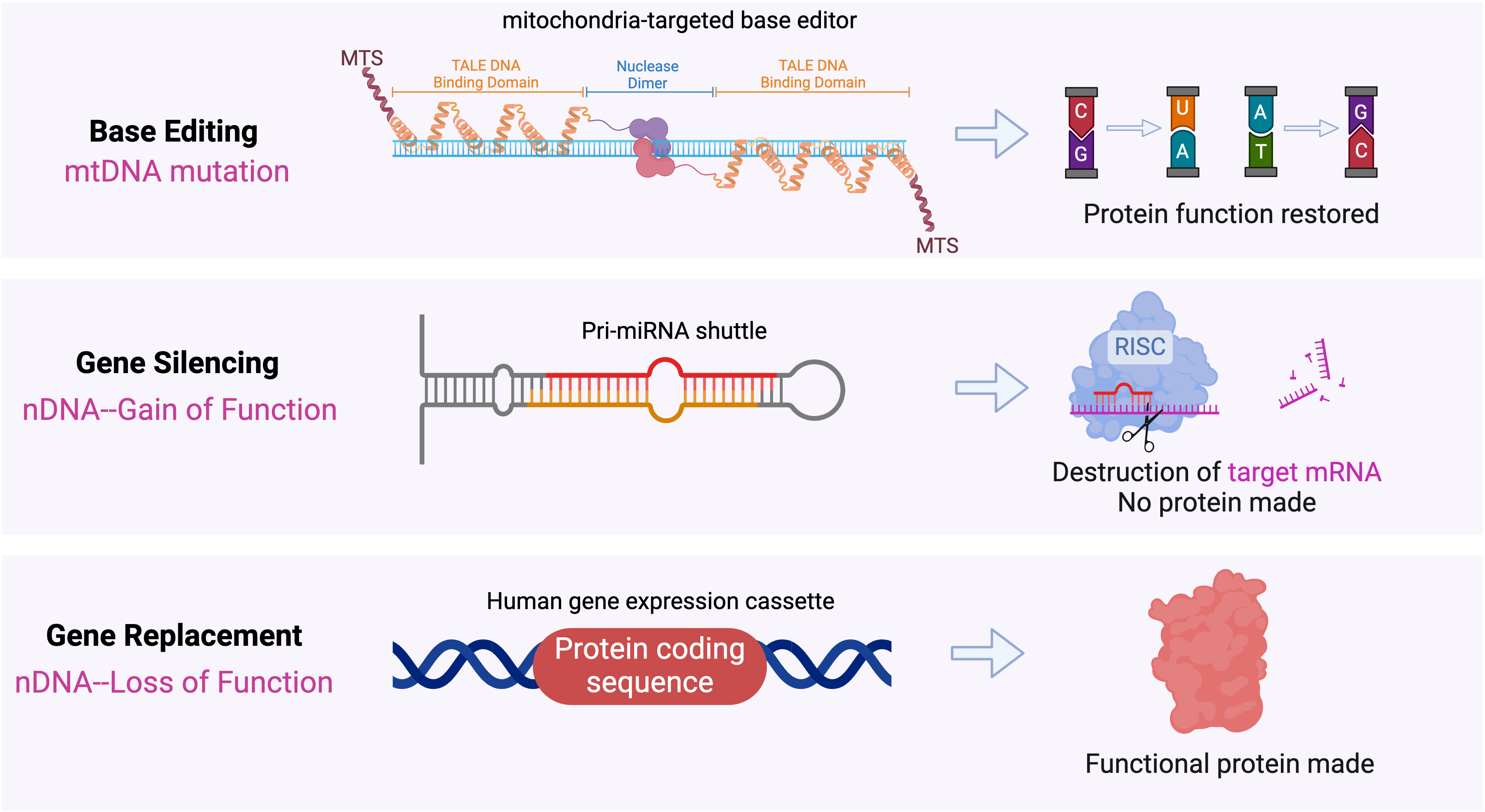 gene therapy research approach overview