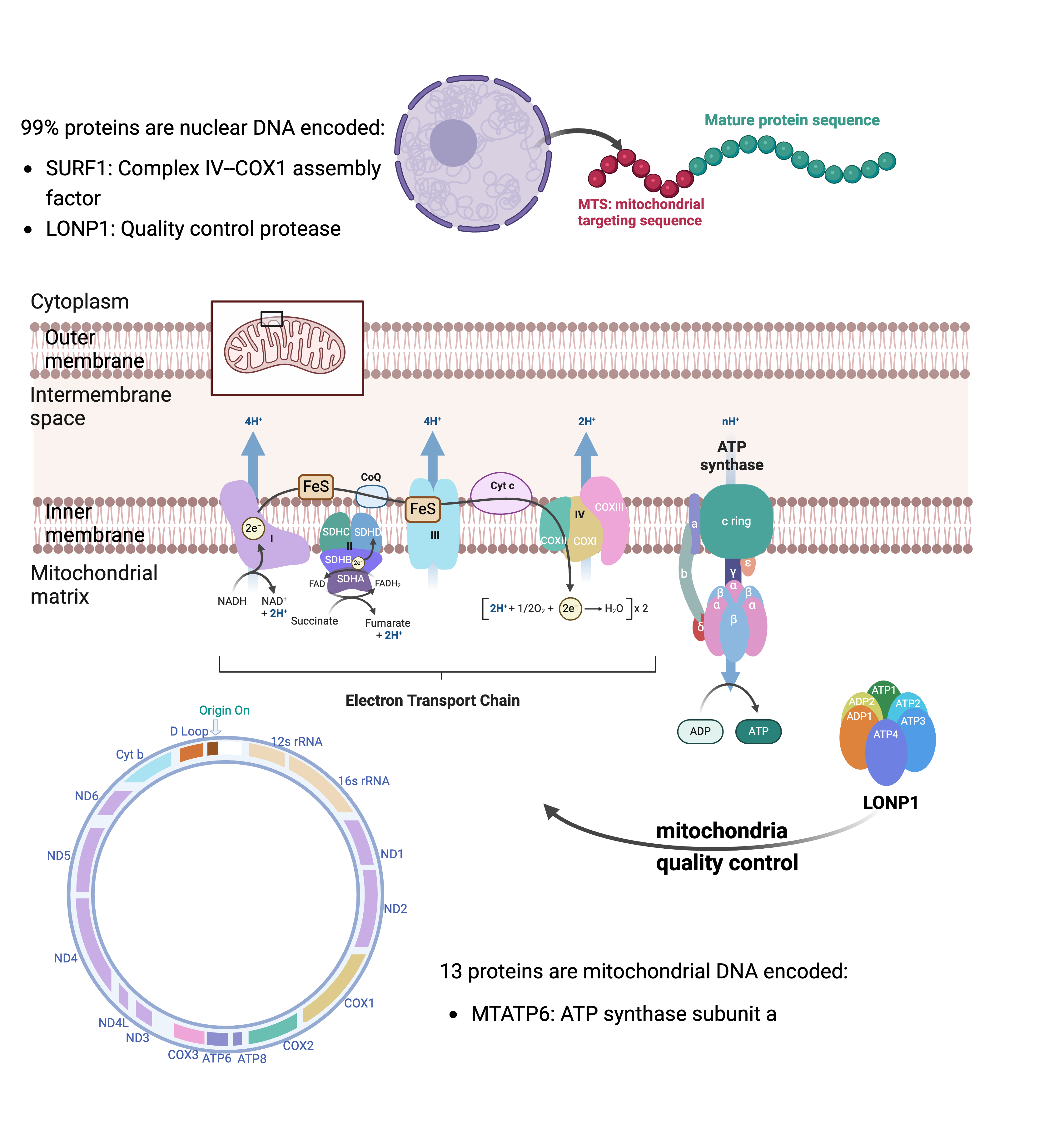 overview of research projects