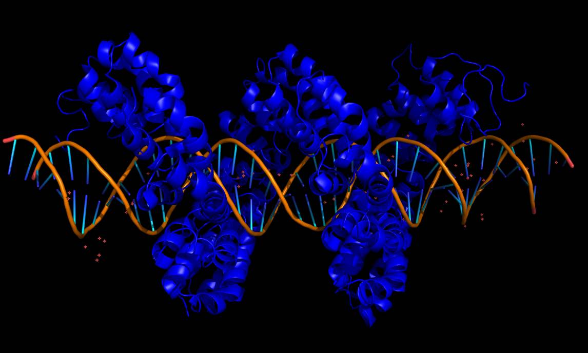 Rett Syndrome