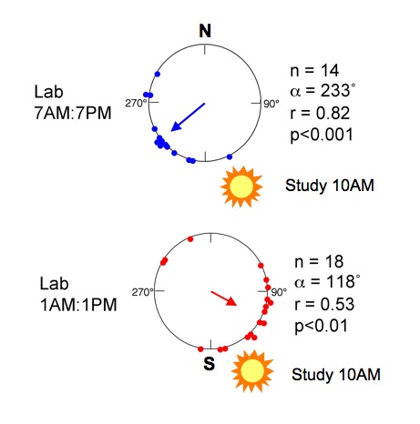 clock-shift-bearings.jpg