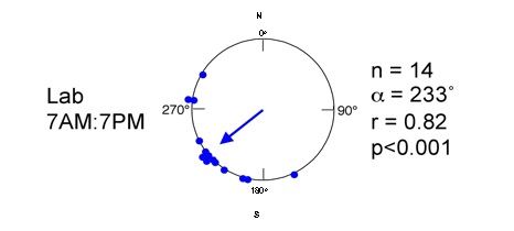 compass-bearings.jpg