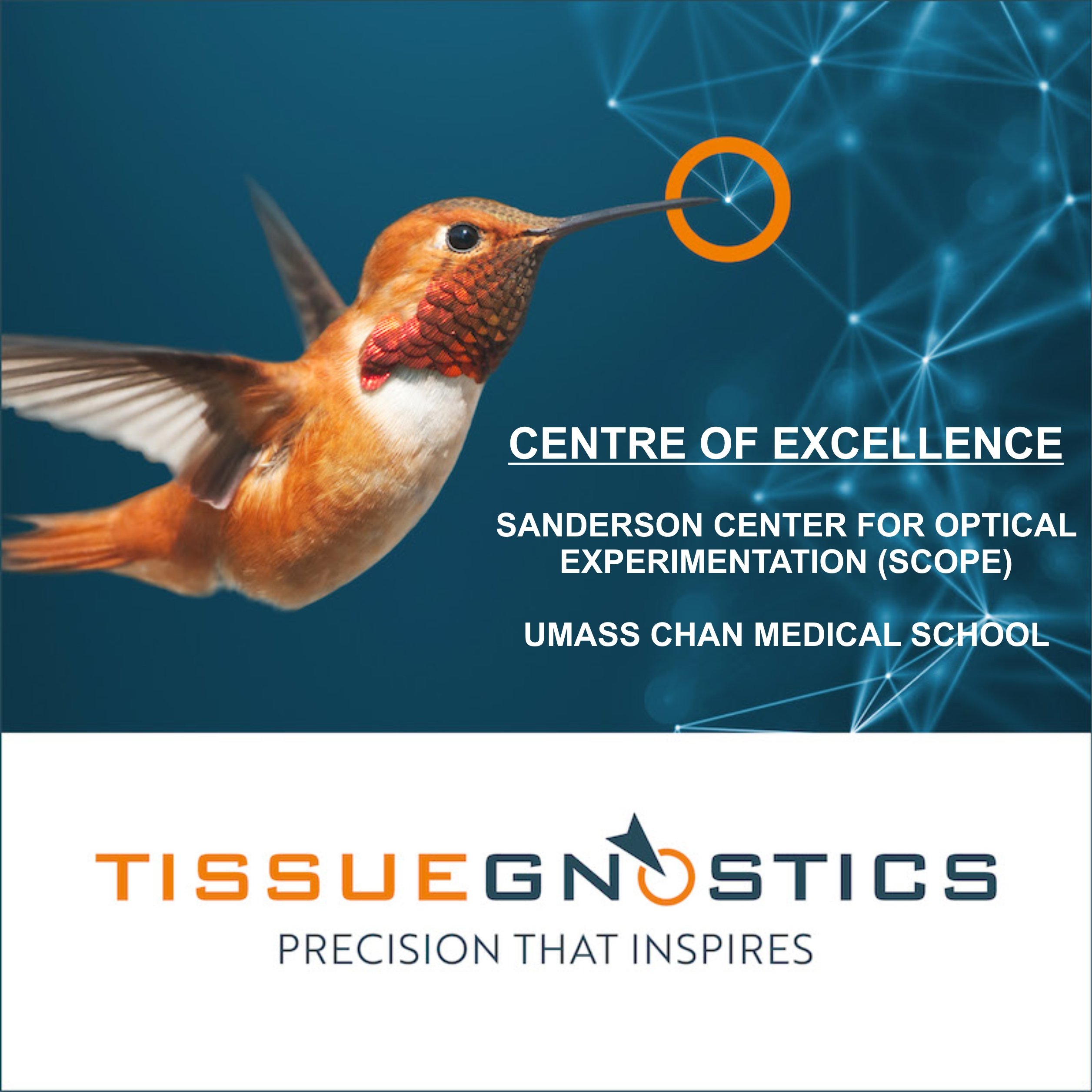 Tissue Gnostics Centre of Excellence 2025