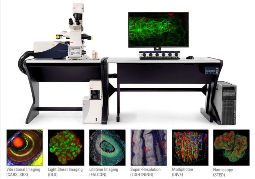 Leica SP8 microscope