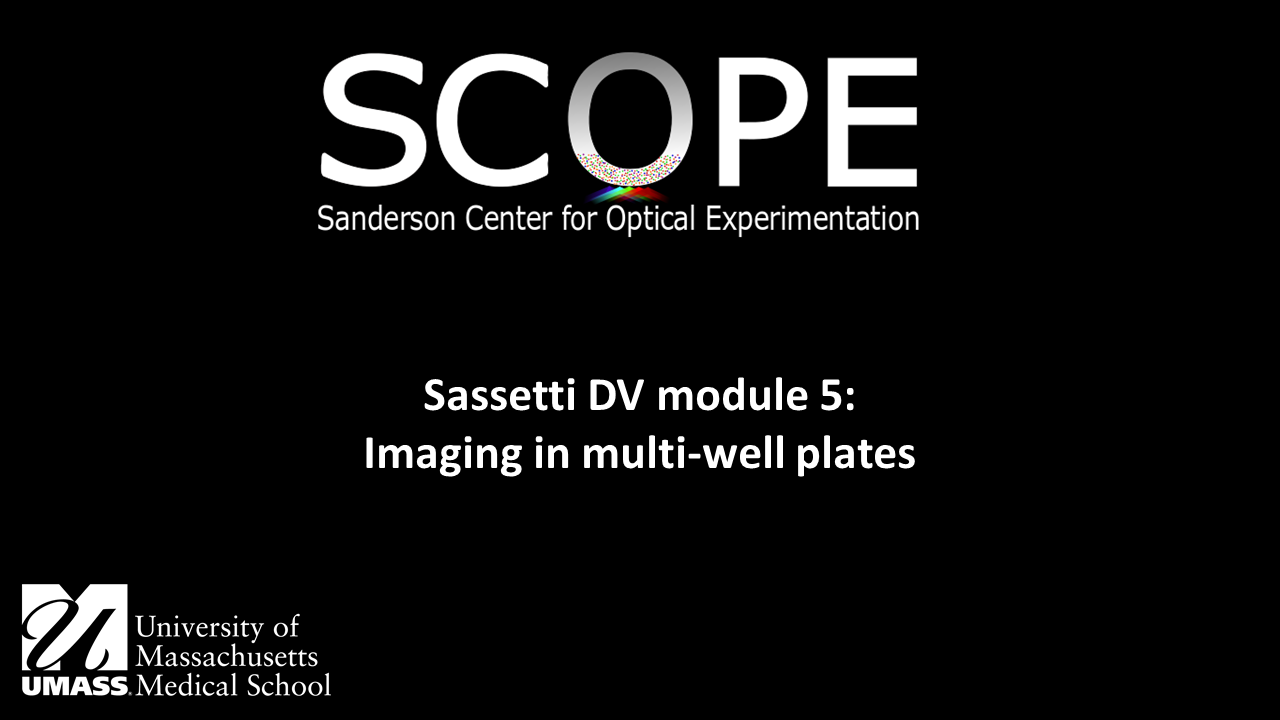 Introduction to  Sassetti DV microscope