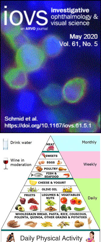 Genetic Susceptibility, Diet Quality, and Two-Step Progression in Drusen Size - 2020