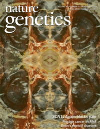 Rare variants in CFI, C3 and C9 are associated with high risk of advanced age-related macular degeneration - 2013