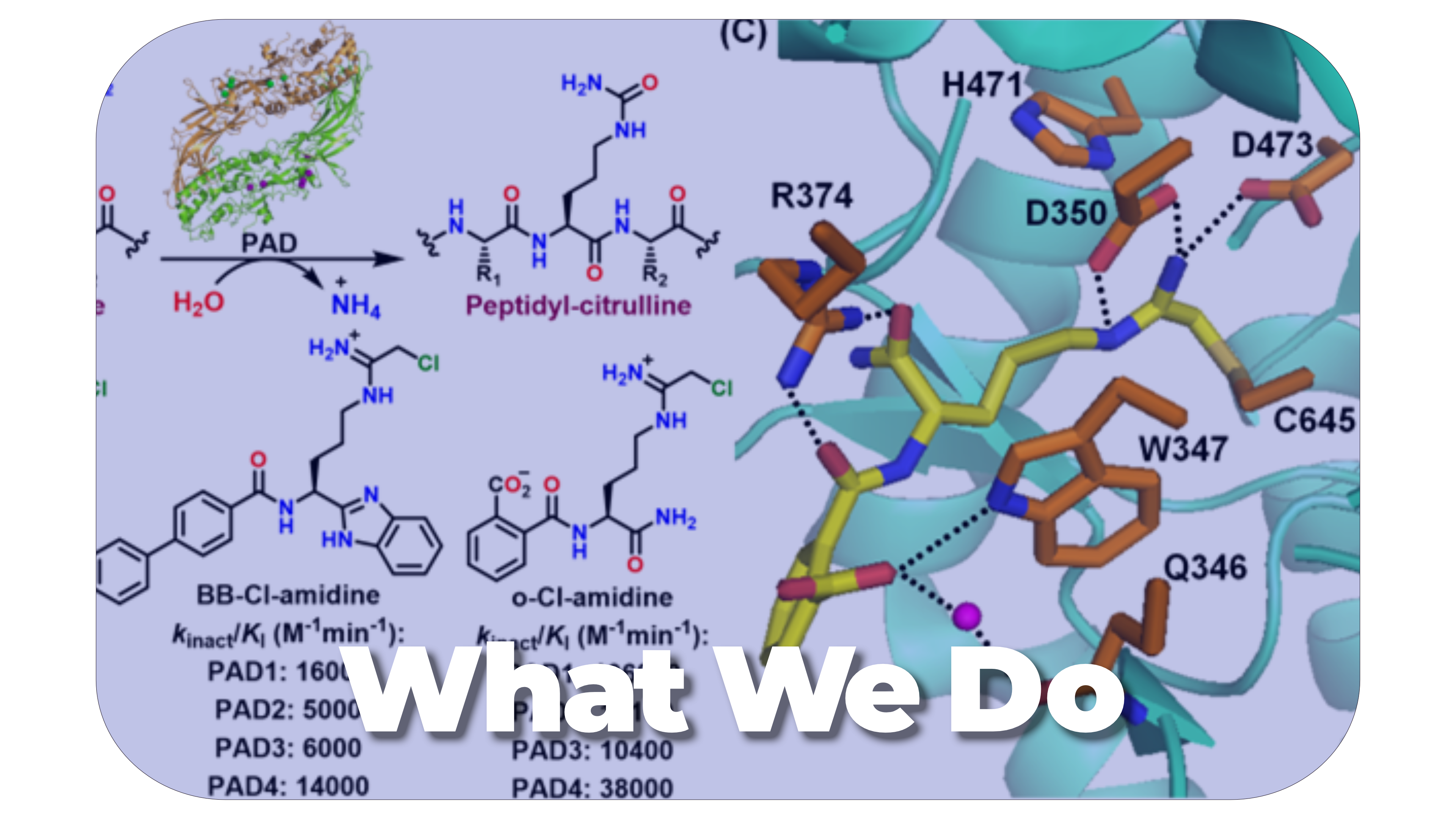  What We Do_thompson lab.png