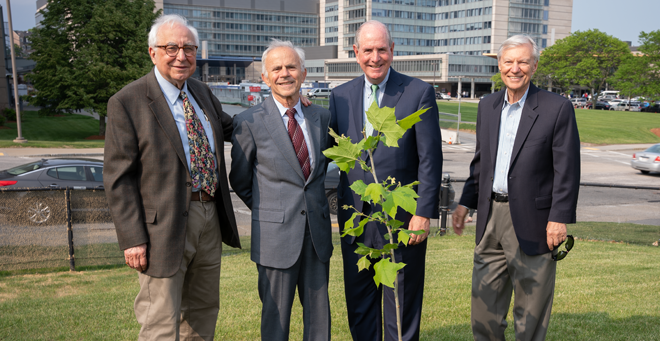 ‘Tree of Hippocrates’ branch planted at UMass Chan to inspire creativity, hope 